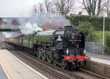 Purchase photo of 60163 TORNADO at Virginia Water